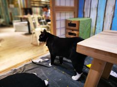 -小时光咖啡馆(开森度假森林店)