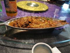 黄焖大鲤鱼-95号酱骨·一块豆腐(展春园西路店)