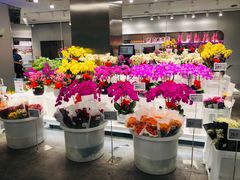 -盒马X会员店(王府井奥莱UP TOWN店)