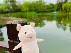 -尚贤河湿地