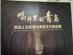 -树懒黑胶唱片店(中山路店)