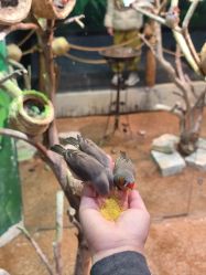 -Zoolung Zoolung动物主题公园(海信广场店)