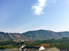 -帐篷客·溪龙茶谷度假酒店