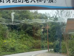 -酒仙湖景区