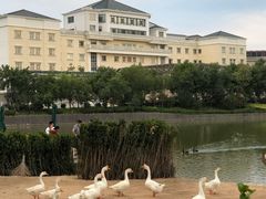 -龙熙温泉高尔夫俱乐部