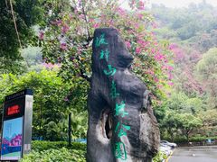 -板樟山森林公园
