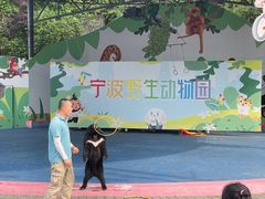 -宁波野生动物园