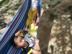 -永定河休闲森林公园