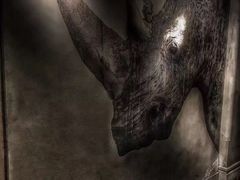 大堂&nbsp;进门吧台的对面墙-Bibo