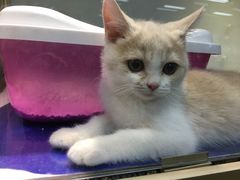 -乐宠宠物店(世纪金源店)