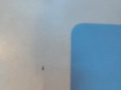 -北苑汤泉