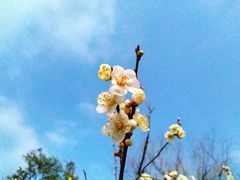 -白马涧龙池景区