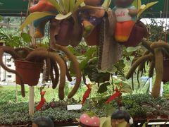 -金马仑薰衣草花园(Cameron Lavender)