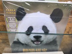 -见山书院