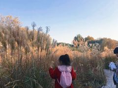 -石家庄市植物园