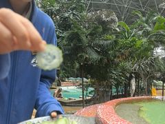 -渔岛海洋度假区