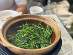 -熠盛粤味·顺德桑拿鸡(永康路店)