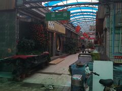 -武汉花鸟市场