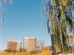 -西海子公园