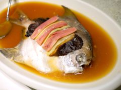 野生长鳞鲳鱼-骏莱海鲜鱼港(五角场店)
