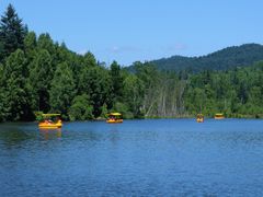 -五营红松林海景区