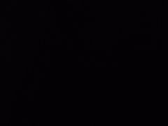 -北京老铺烤鸭(高新店)