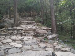 -北京鹫峰国家森林公园
