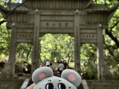 -灵岩山风景区