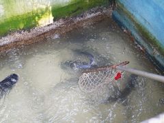 -姥家大锅台水库渔家