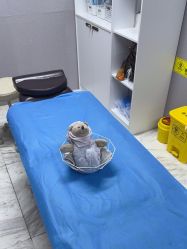 -洁铭新加坡医美