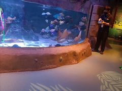 -沈阳海洋探索中心