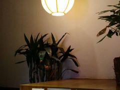 -一叶一世界·素食餐厅(锦华万达店)