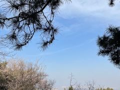 -香山公园