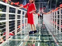 -九龙江国家森林公园