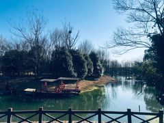 -梁鸿国家湿地公园