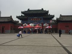 -曹州牡丹园