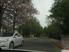 android_upload_pic-十三陵水库