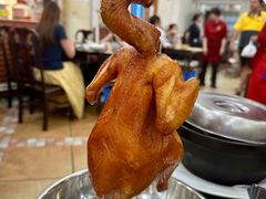 -鸽鸟轩(石岐店)