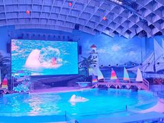 -海合安武汉极地海洋公园