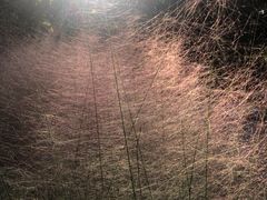 -苏州河梦清园环保主题公园