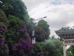 -广州市白云山风景名胜区