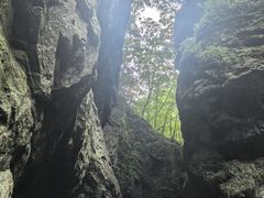 -牛背梁国家森林公园