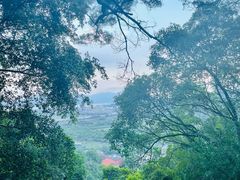 -青芝山风景名胜区