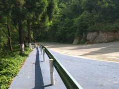 -贵州省植物园