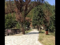 -黄陂区野村谷景区