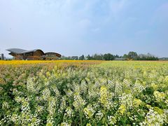 -中国天府农业博览园