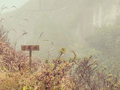 -大罗山风景区