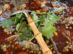 -青城甲(青城山店)