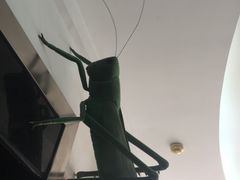 -上海昆虫博物馆