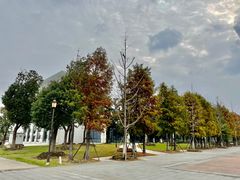 -澹台湖公园